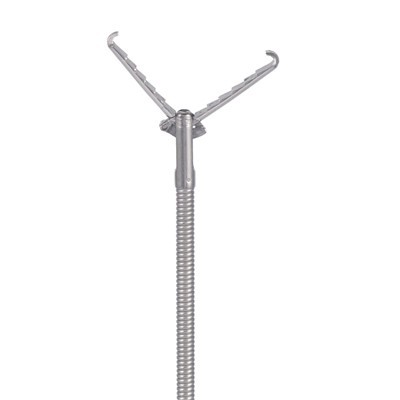 एंडोस्कोपिक विदेशी शरीर के सदन