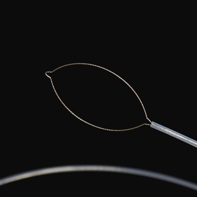 जबड़ा प्रकार विदेशी शरीर सदिश