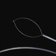 सूंग प्रकार विदेशी शरीर सदिश